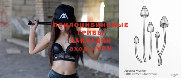 гидра Бугульма