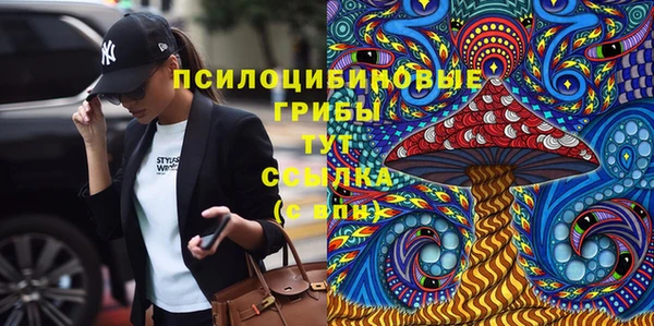 гидра Бугульма