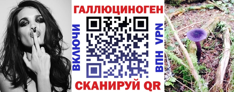 Купить  Похвистнево  Псилоцибиновые грибы мицелий 